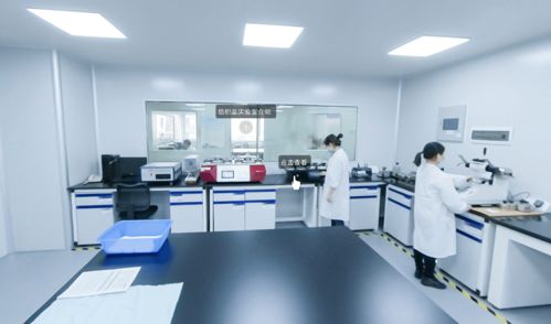 协会喜添A股新成员，广电计量为建材家居竞争力注入科技动力