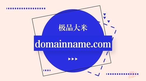 国人为国争光 重金收购域名行业“极品大米”，推动计量技术服务数字化升级