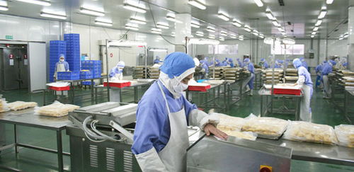 食品厂蒸汽流量计选型与涡街流量计的适用性分析